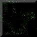 xm001556.gif