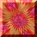 xm001537.gif