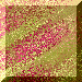 xm001532.gif