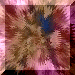 xm001526.gif