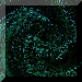 xm001508.gif