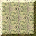 xm001498.gif