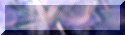 xm002251.gif