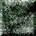 xm002230.gif
