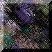 xm002213.gif