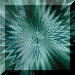 xm002204.gif