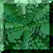 xm002177.gif