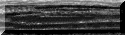xm001894.gif