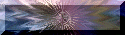 xm001836.gif