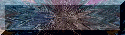 xm001827.gif