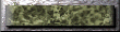 xm002791.gif