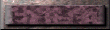 xm002785.gif