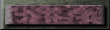 xm002784.gif