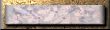 xm002783.gif