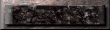 xm002777.gif