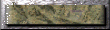 xm002757.gif