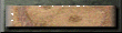 xm002753.gif