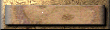 xm002751.gif