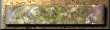 xm002749.gif