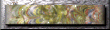 xm002748.gif