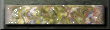 xm002747.gif