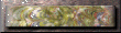 xm002746.gif