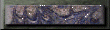 xm002744.gif