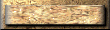xm002741.gif