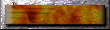 xm002731.gif