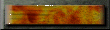 xm002730.gif