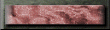 xm002726.gif