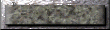 xm002716.gif