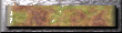 xm002713.gif