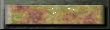 xm002712.gif