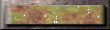 xm002711.gif