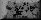 xm002573.gif