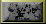 xm002571.gif