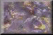 xm002404.gif