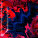 xm002342.gif