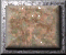 xm002900.gif