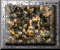 xm002897.gif
