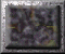 xm002896.gif