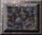 xm002892.gif