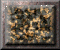 xm002891.gif