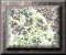 xm002880.gif