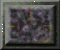 xm002879.gif