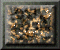xm002877.gif