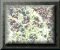xm002867.gif