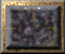 xm002866.gif