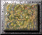 xm002861.gif